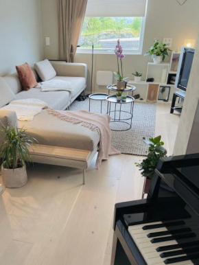 Central house right next to Fløyen -free parking!